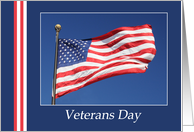 Veterans Day - November 11th - US Flag card