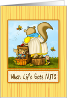 Life Gets Nuts...
