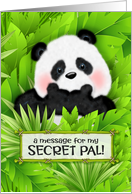 Secret Pal Panda Bear Messenger card