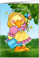 Secret Pal Garden Duck Hello card