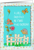 Little bird sitting on a fence - birthday wishes card