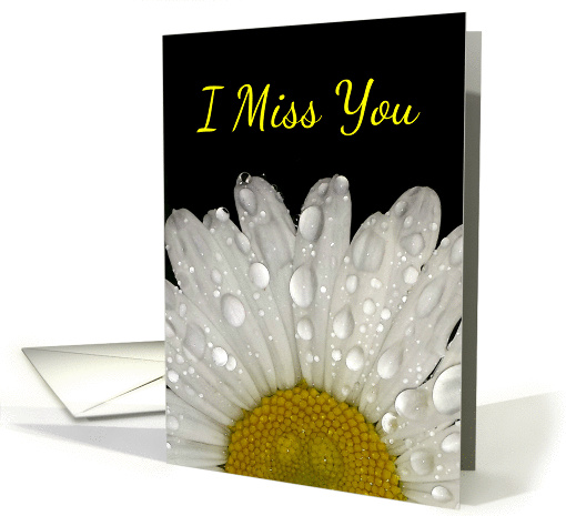 I Miss You Raindrops on Montauk Daisy - Blank card (1405932)