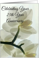 Your 25th Year Anniversary Translucent White Orchid in a Misty Dream card