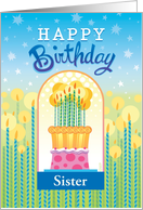 Happy Birthday Cake Candles Stars humor card