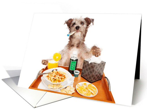 Sick As A Dog Get Well card (1412992)