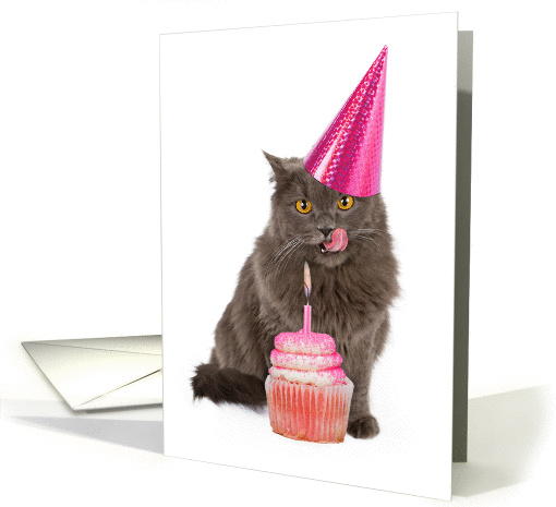 Cat with Pink Birthday Cupcake and Party Hat card (1413602)