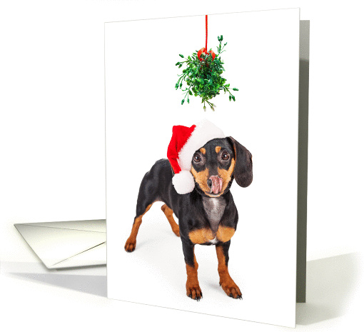 Wiener Under Mistletoe Christmas card (1413604)