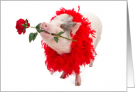 Hog You To Myself Valentine’s Day Card