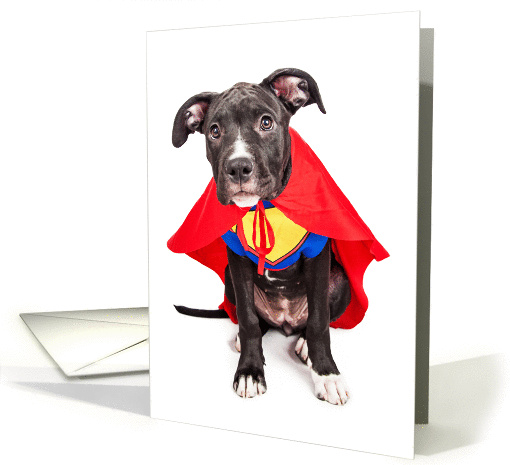 Happy Birthday to Dad - Cute Dog Superhero Photograph card (1413642)
