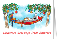 Koala Relaxing on its Hammock  Greetings from Australia card