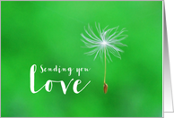 Sending You Love Dandelion on Green Feel Better card