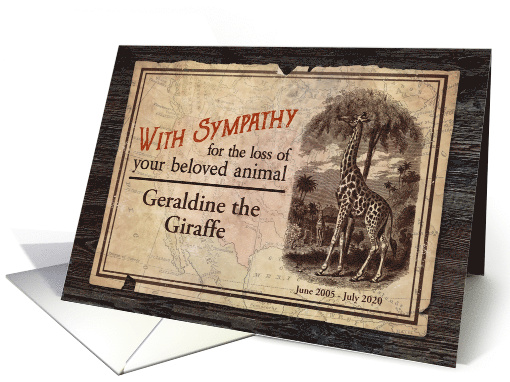 Custom Sympathy Loss of Zoo Animal Giraffe Vintage card (1466702)