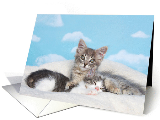 Get Well Soon Kitten card (1438134)
