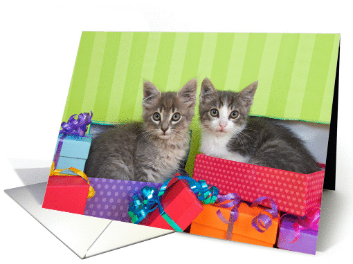 Happy Birthday Kittens card (1438138)