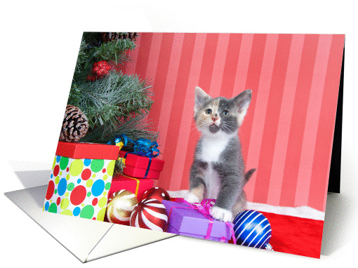 Meowy Christmas Calico kitten card (1438150)