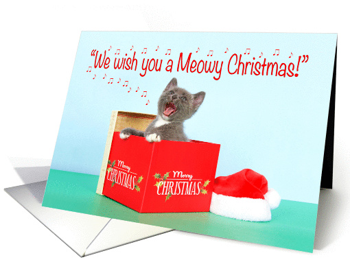 Meowy Christmas Gray Kitten Singing card (1438812)