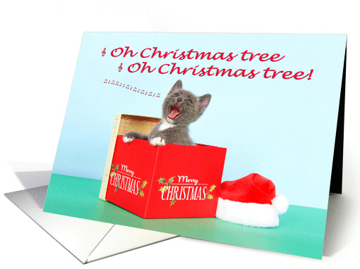 Humorous Kitten Singing Christmas card (1441678)