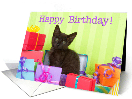 Kitten Happy Birthday card (1444020)