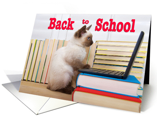 Smart kitten back to school card (1447232)