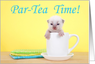Newborn kitten Birthday Par-Tea Time Invitation card