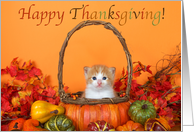 5th grade thanksgiving work puzzle