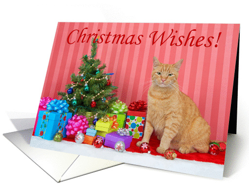 Ginger tabby cat Christmas Wishes card (1451574)
