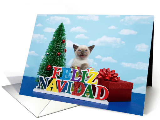 Siamese kitten Feliz Navidad Merry Christmas card (1457840)