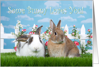 Pair of bunnies in the garden saying some bunny loves you card