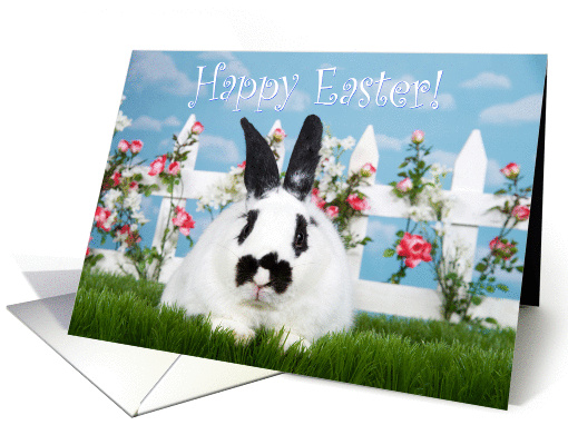 Black and white bunny in the garden happy Easter card (1463092)