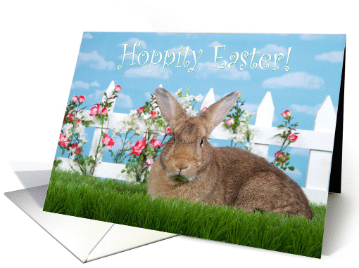 Big brown bunny in the garden Hoppity Easter card (1463094)