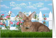 Big brown bunny in the garden Hoppity Easter card