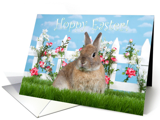 Small brown dwarf bunny hoppy Easter card (1463096)