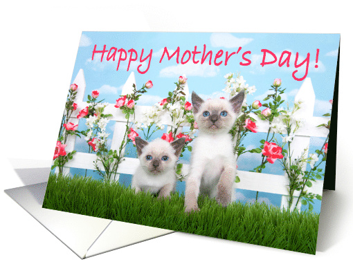 Two Siamese kittens wishing Happy Mother's Day card (1474630)