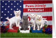 Four Paws-itively Patriotic 4th of July kittens card