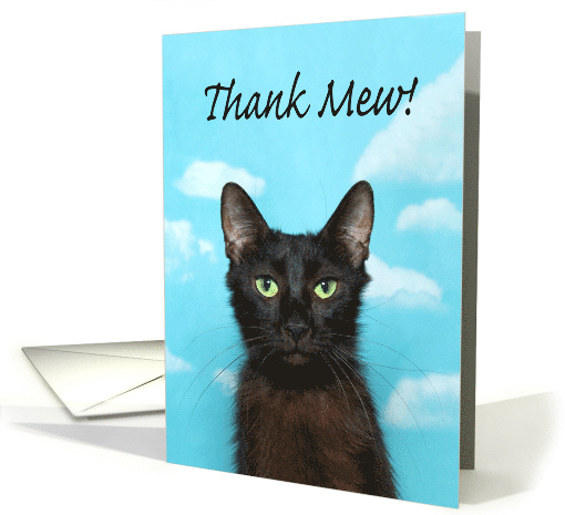 Regal cat Thank Mew Thank You card (1481570)