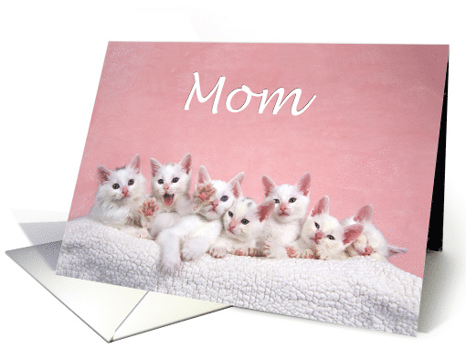 Many kittens happy Mother's Day Mom card (1481778)