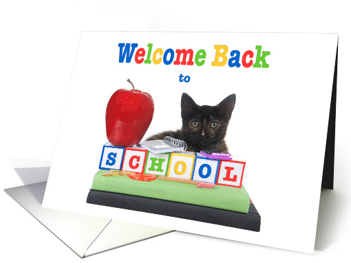 Kitten welcome back to school from teacher card (1490402)