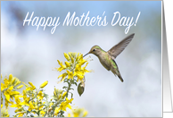 Hummingbird Happy Mother’s Day card