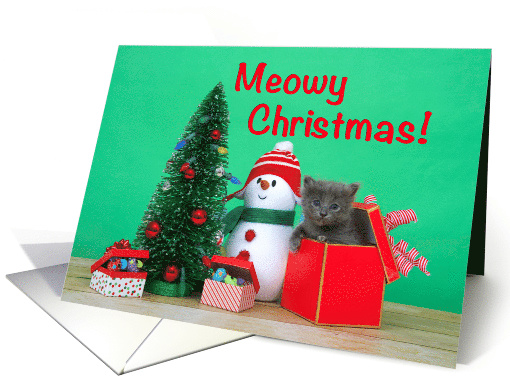 Grey kitten popping out of a box meowy Christmas card (1549408)
