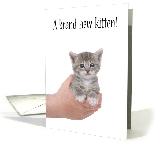 Congratulations new kitten adoption card (1554190)