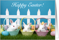 Trio of Baby Bunnies Happy Easter card