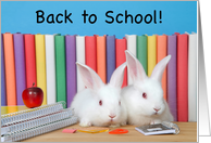 Baby Bunnies Back to School card