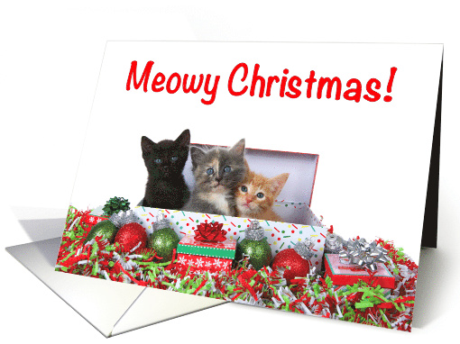 Trio of Kittens Christmas Presents card (1570098)