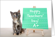 School Time Kitten Happy Teachers’ Day card