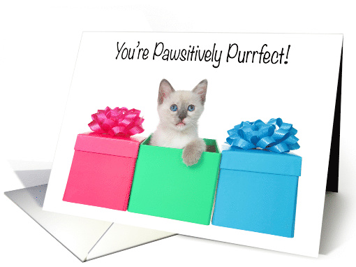 Siamese kitten Mother's Day presents card (1582504)