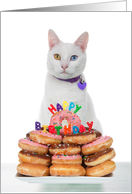 White Kitten with a Donut Cake, Happy Birthday card