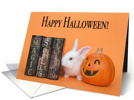 White Tiny Bunny Happy Halloween card (1584636)