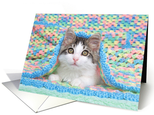 Kitten Under a Blanket Get Well Soon card (1644382)