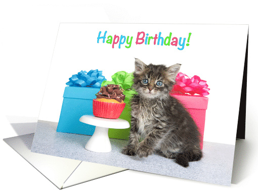 Kitten Party Happy Birthday card (1656926)