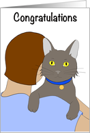 Congratulations on Your Pet Cat Rescue Adoption Brunette with Gray Cat card